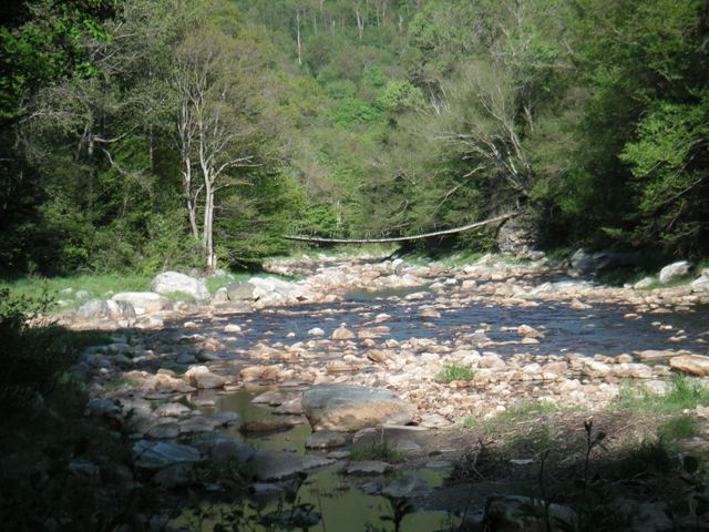Suspension bridge from the Deerfield River shore